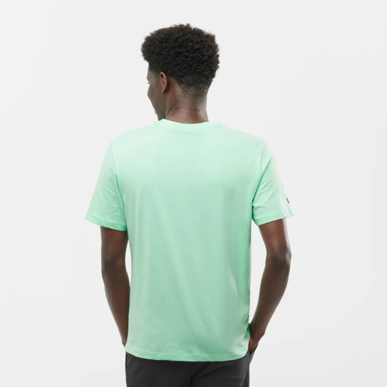 Mint Salomon Outlife Logo Short Sleeve Men's T-Shirts | IE IK1592